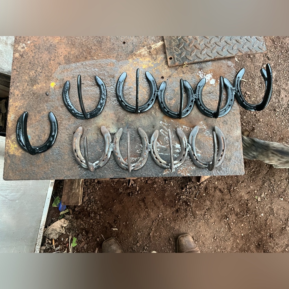 Horseshoe hangers